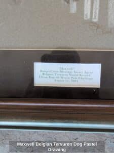 Maxwell-Belgian-Tervuren-Dog-Pastel-Drawing-second-image