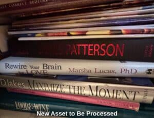 New-Asset-to-Be-Processed-C-fifth-image