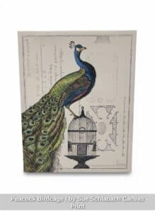 Peacock-Birdcage-I-by-Sue-Schlabach-Canvas-Print