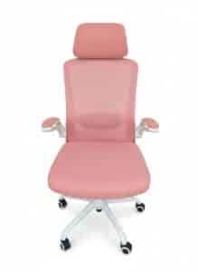 Pink-Mesh-Ergonomic-Office-Chair-with-Headrest-and-Adjustable-Lumbar-Support