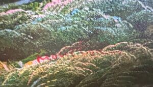 R.-Boren-Landscape-Oil-Painting-with-Waterfall-and-Mountains-second-image