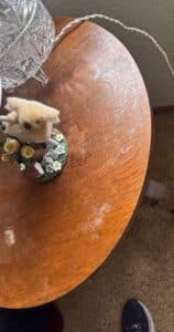 Round-Oak-Side-Table-third-image