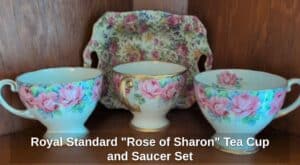 Royal-Standard-Rose-of-Sharon-Tea-Cup-and-Saucer-Set