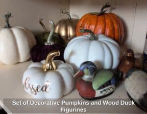 Set-of-Decorative-Pumpkins-and-Wood-Duck-Figurines