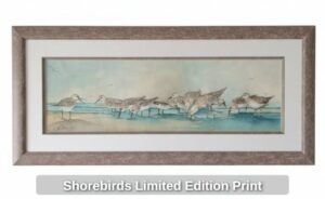 Shorebirds-Limited-Edition-Print