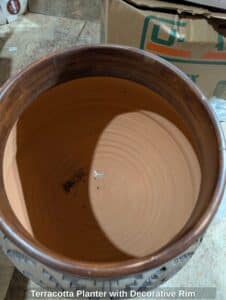 Terracotta-Planter-with-Decorative-Rim