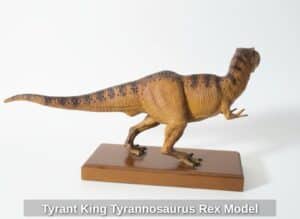 Tyrant-King-Tyrannosaurus-Rex-Model-fourth-image