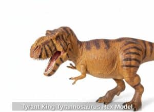 Tyrant-King-Tyrannosaurus-Rex-Model-third-image