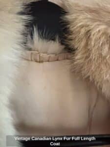 Vintage-Canadian-Lynx-Fur-Full-Length-Coat-third-image