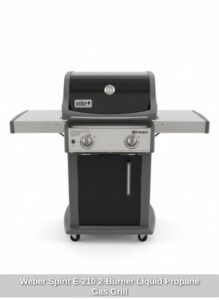 Weber-Spirit-E-Burner-Liquid-Propane-Gas-Grill