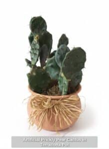 Artificial-Prickly-Pear-Cactus-in-Terracotta-Pot