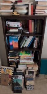 Assorted-Books-and-Bookshelf