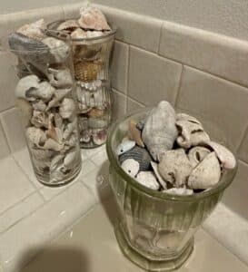 Assorted-Seashells-in-Glass-Vases