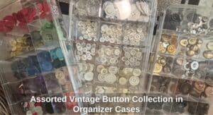 Assorted-Vintage-Button-Collection-in-Organizer-Cases