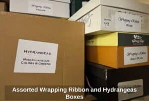 Assorted-Wrapping-Ribbon-and-Hydrangeas-Boxes