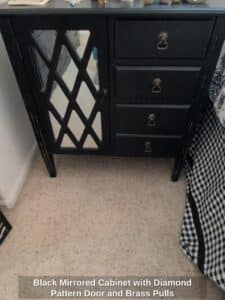 Black-Mirrored-Cabinet-with-Diamond-Pattern-Door-and-Brass-Pulls