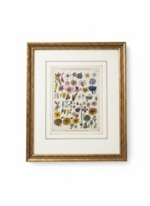 Botanical-Print-The-Classes-or-Primary-Divisions-of-the-Sexual-System