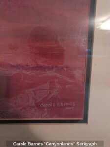 Carole-Barnes-Canyonlands-Serigraph-second-image