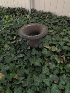 Cast-Iron-Urn-Planter