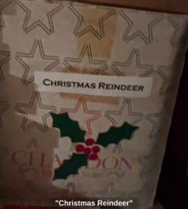Christmas-Reindeer