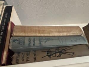 Collection-of-Vintage-Books-The-House-of-the-Seven-Gables-Facing-Danger-For-Name-and-Fame