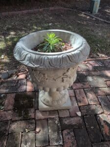 Concrete-Urn-Planter-with-Acanthus-Leaf-Motif