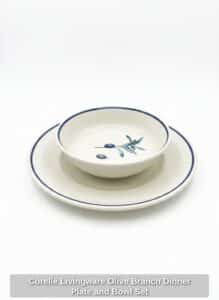 Corelle-Livingware-Olive-Branch-Dinner-Plate-and-Bowl-Set