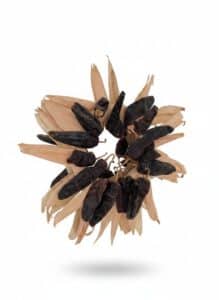 Dried-Chile-Pepper-and-Corn-Husk-Wreath