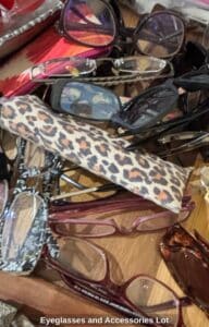 Eyeglasses-and-Accessories-Lot