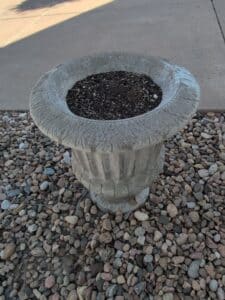 Fluted-Concrete-Urn-Planter-with-Acanthus-Leaf-Rim