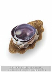 Gilt-Metal-Shell-Dish-with-Assorted-Seashells-including-a-large-purple-clam-shell