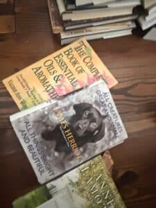 James-Herriot-All-Creatures-Great-and-Small-Two-Volumes-in-One-All-Things-Bright-and-Beautiful-Book-Lot