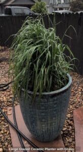 Large-Glazed-Ceramic-Planter-with-Grass