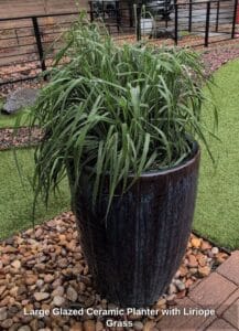 Large-Glazed-Ceramic-Planter-with-Liriope-Grass