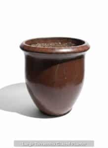 Large-Terracotta-Glazed-Planter