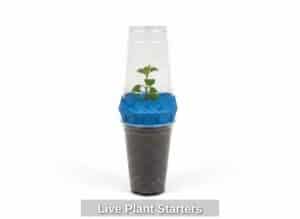 Live-Plant-Starters-second-image