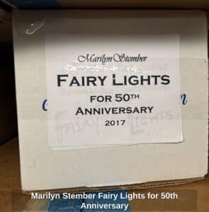 Marilyn-Stember-Fairy-Lights-for-th-Anniversary