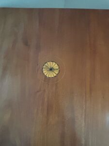 Mid-Century-Modern-Wood-Veneer-Cabinet-Door-with-Starburst-Inlay