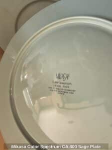 Mikasa-Color-Spectrum-CA-Sage-Plate