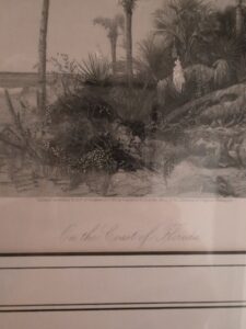 On-the-Coast-of-Florida-Engraving-by-Robert-Hinschelwood-second-image