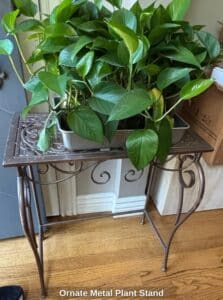 Ornate-Metal-Plant-Stand