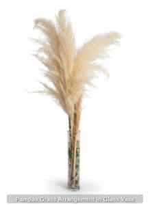 Pampas-Grass-Arrangement-in-Glass-Vase