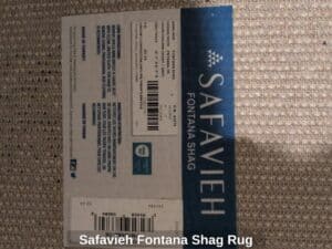 Safavieh-Fontana-Shag-Rug-second-image