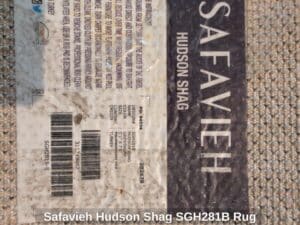 Safavieh-Hudson-Shag-SGHB-Rug-second-image