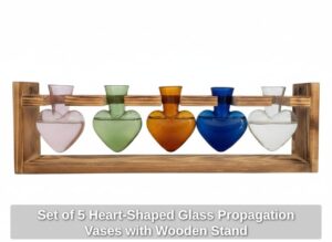 Set-of-Heart-Shaped-Glass-Propagation-Vases-with-Wooden-Stand
