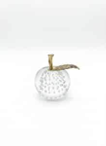 Silvestri-Bubble-Glass-Apple-Paperweight-with-Brass-Stem-and-Leaf