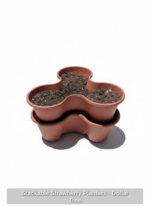 Stackable-Strawberry-Planters-Dollar-Tree