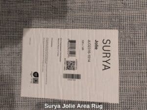 Surya-Jolie-Area-Rug-second-image