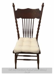 Tell-City-Furniture-Cattail-Back-Dining-Chair