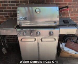 Weber-Genesis-II-Gas-Grill